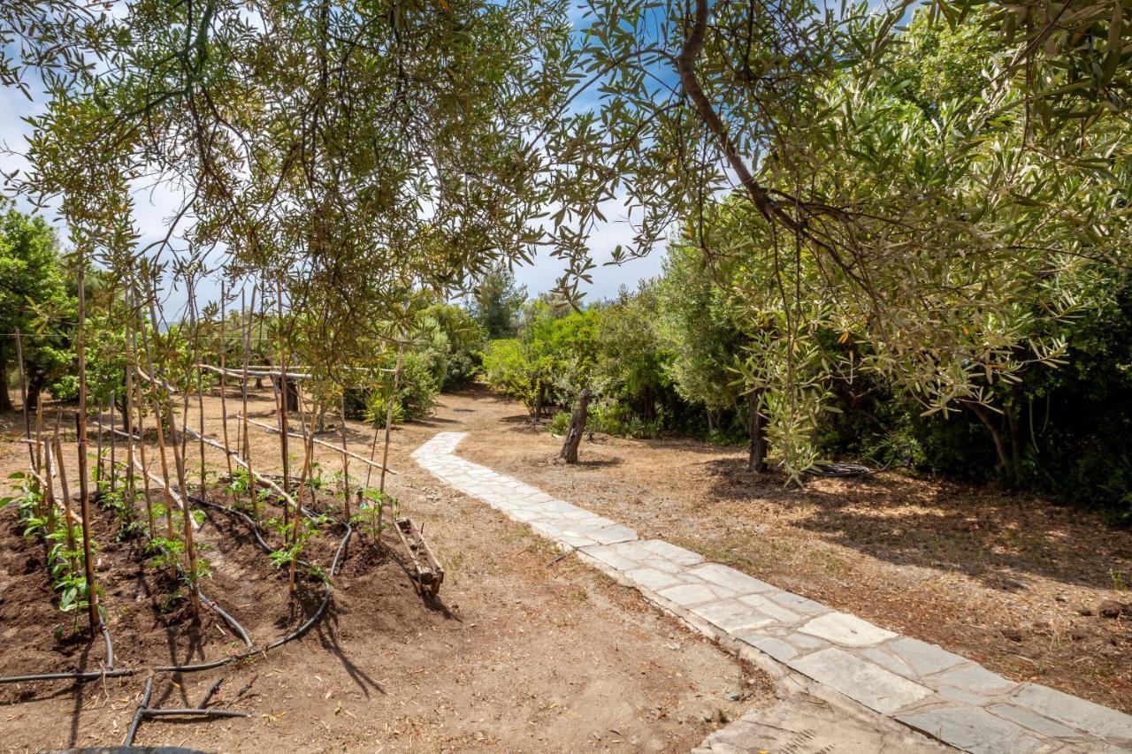 Villa Hidden Gem Sithonia Metochi Agias Kiriakis Esterno foto