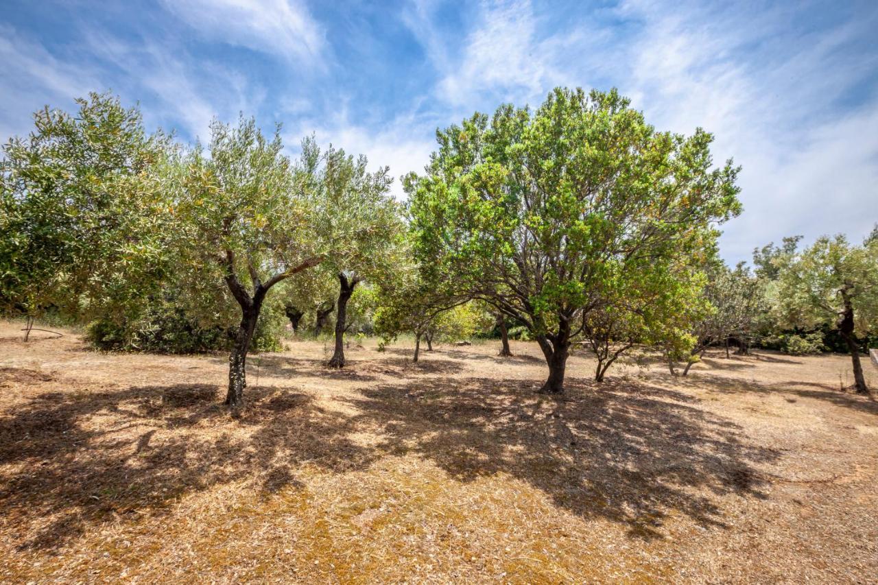 Villa Hidden Gem Sithonia Metochi Agias Kiriakis Esterno foto