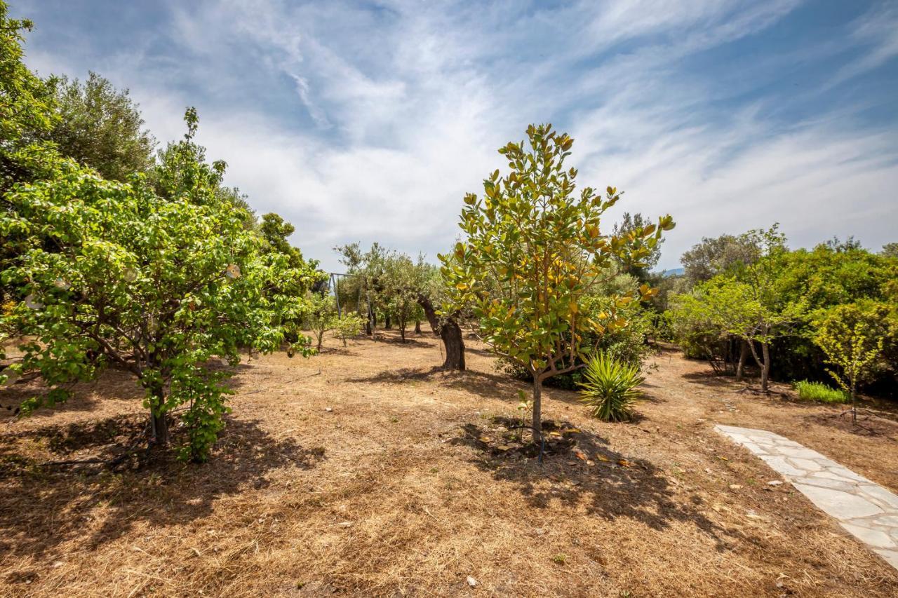 Villa Hidden Gem Sithonia Metochi Agias Kiriakis Esterno foto